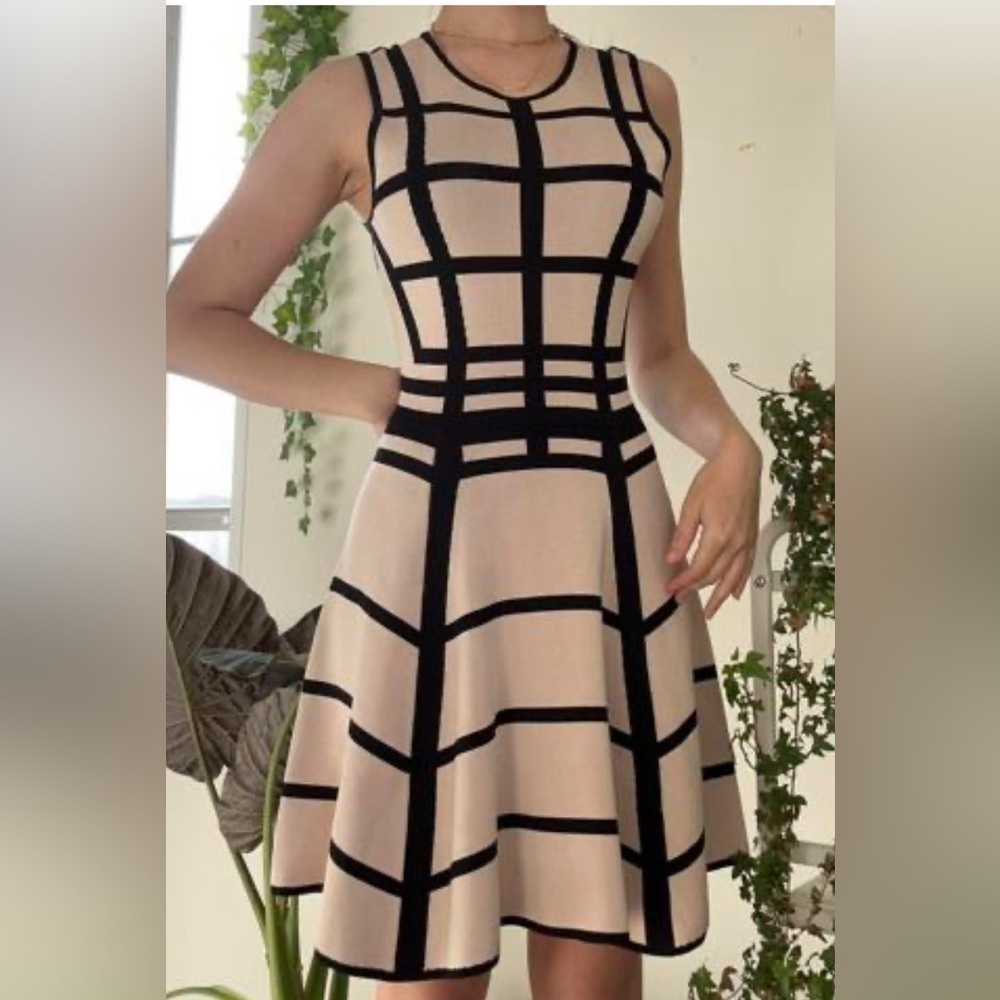 Torn by Ronny Kobo Black and Cream Mini Dress